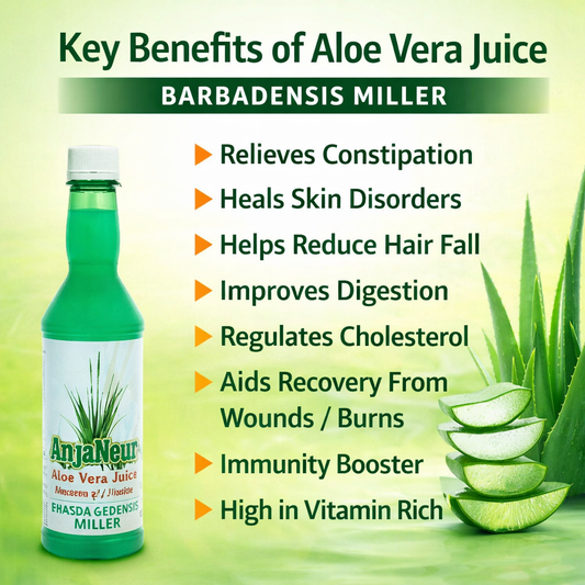 Aloe Vera Barbadensis Miller Juice (Fibrous) | Natural Digestive & Detox Support
